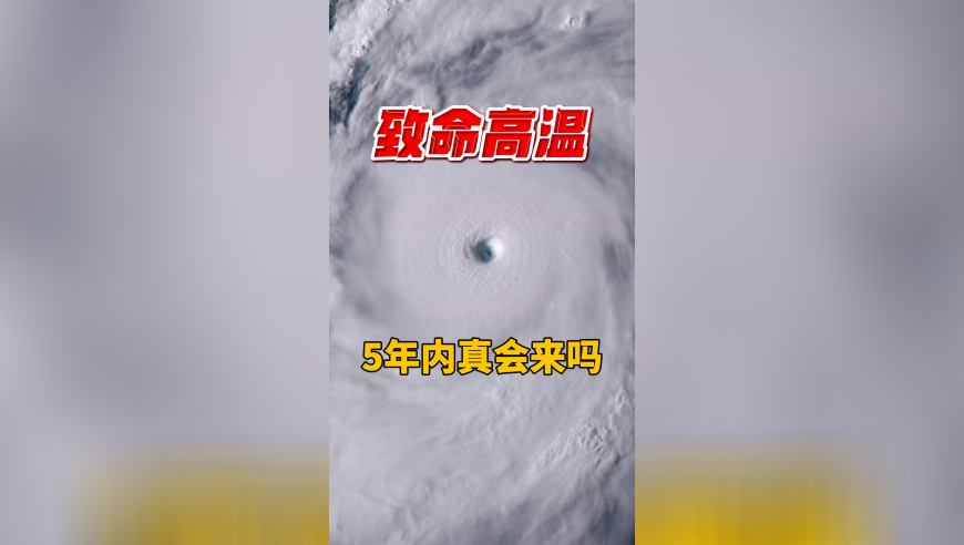 比特币今年表现跑输黄金,管家婆一肖一码中100%,整体规划执行讲解_创意版V9.9